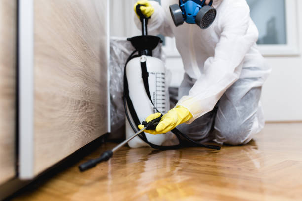 Best Bed Bug Extermination  in Sumner, IL