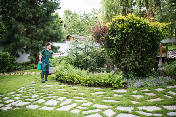 Best Pest Control Near Me  in Sumner, IL