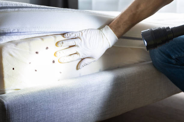 Best Affordable Pest Control Services  in Sumner, IL