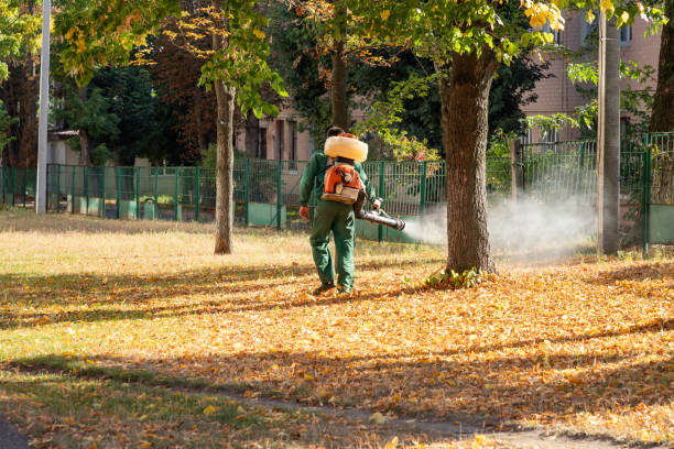 Best Wildlife Control Services  in Sumner, IL