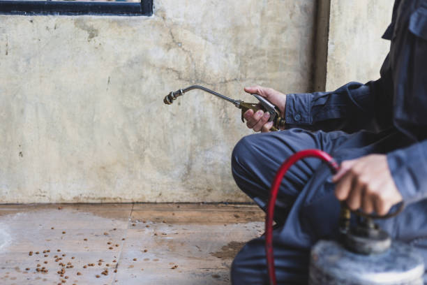 Best Best Pest Control Companies  in Sumner, IL
